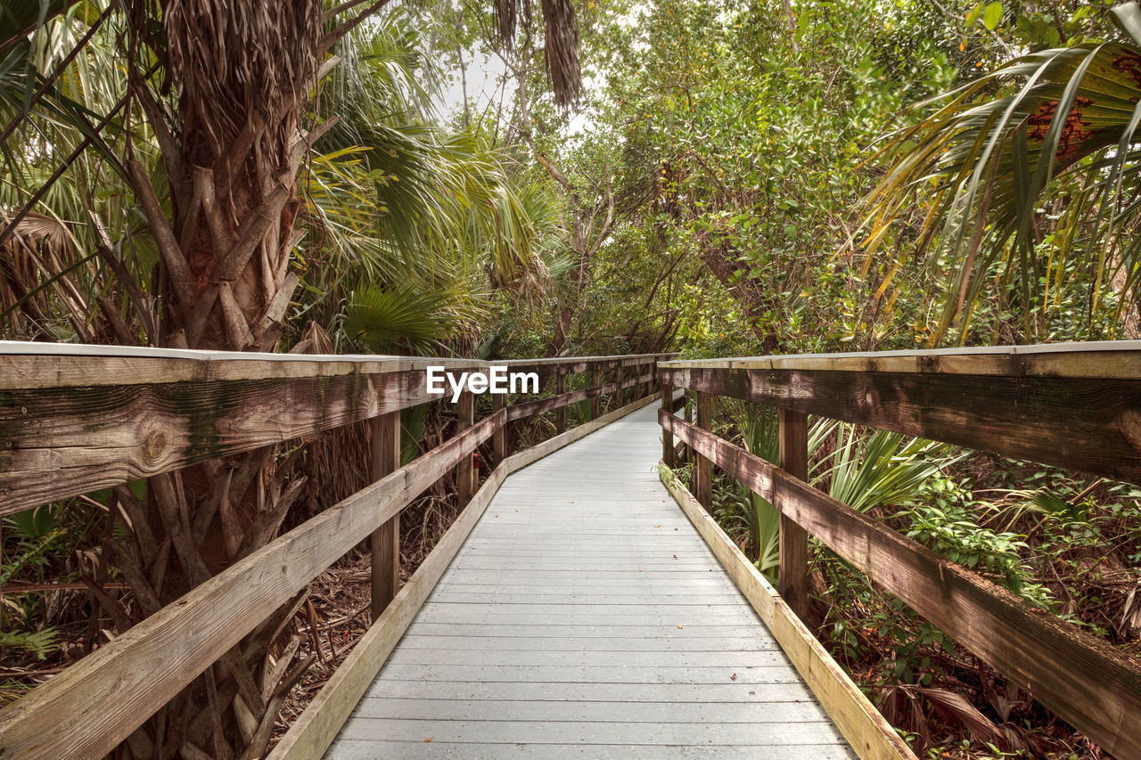 Boardwalk that extends through manatee park in fort myers, florida.
