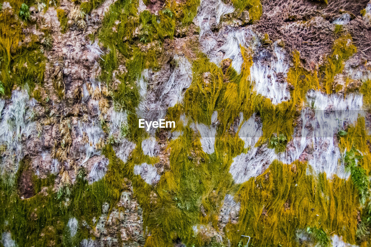 FULL FRAME SHOT OF WATER ON ROCK