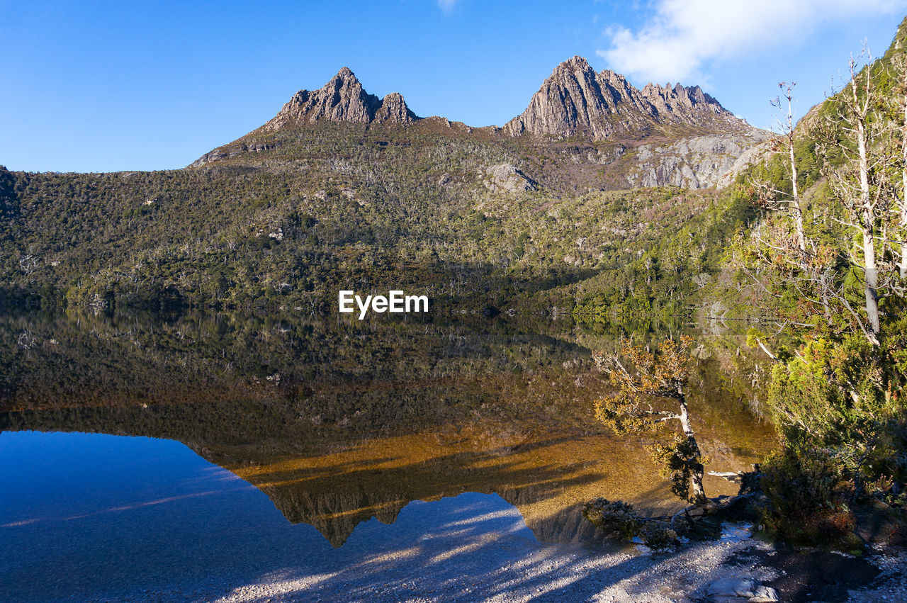 Picturesque mountain landscape of cradle mountain with reflection in smooth water of lake dove