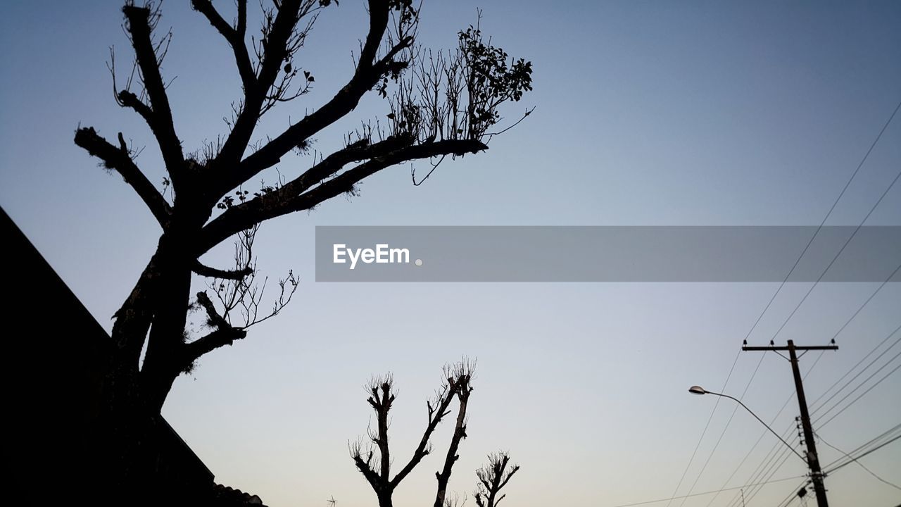 LOW ANGLE VIEW OF SILHOUETTE BARE TREE AGAINST CLEAR SKY