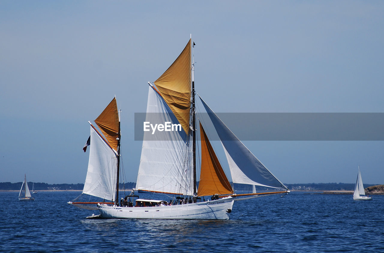 SAILBOATS SAILING IN SEA AGAINST CLEAR SKY