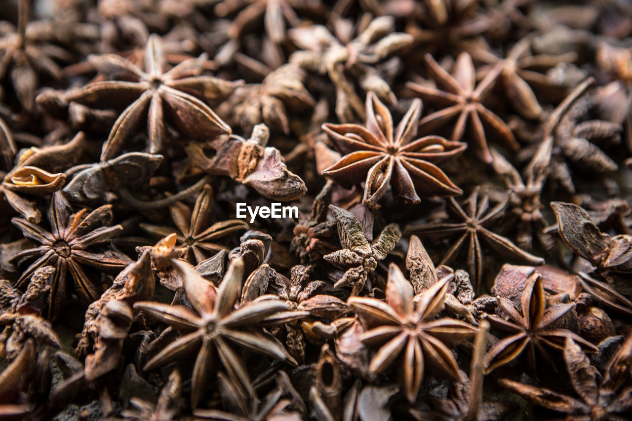 HIGH ANGLE VIEW OF DRY LEAVES IN CONTAINER