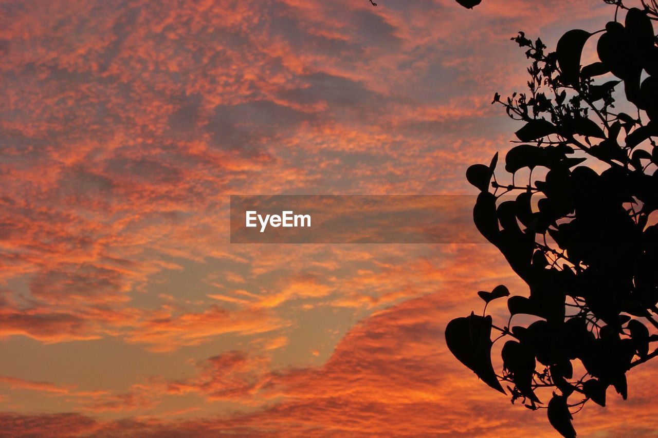 Low angle view of cloudy sky at sunset