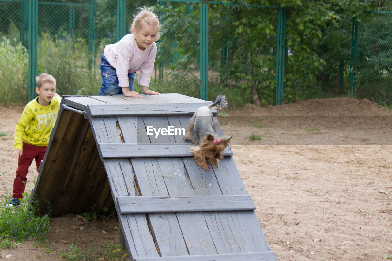 Siblings with dog playing on slide