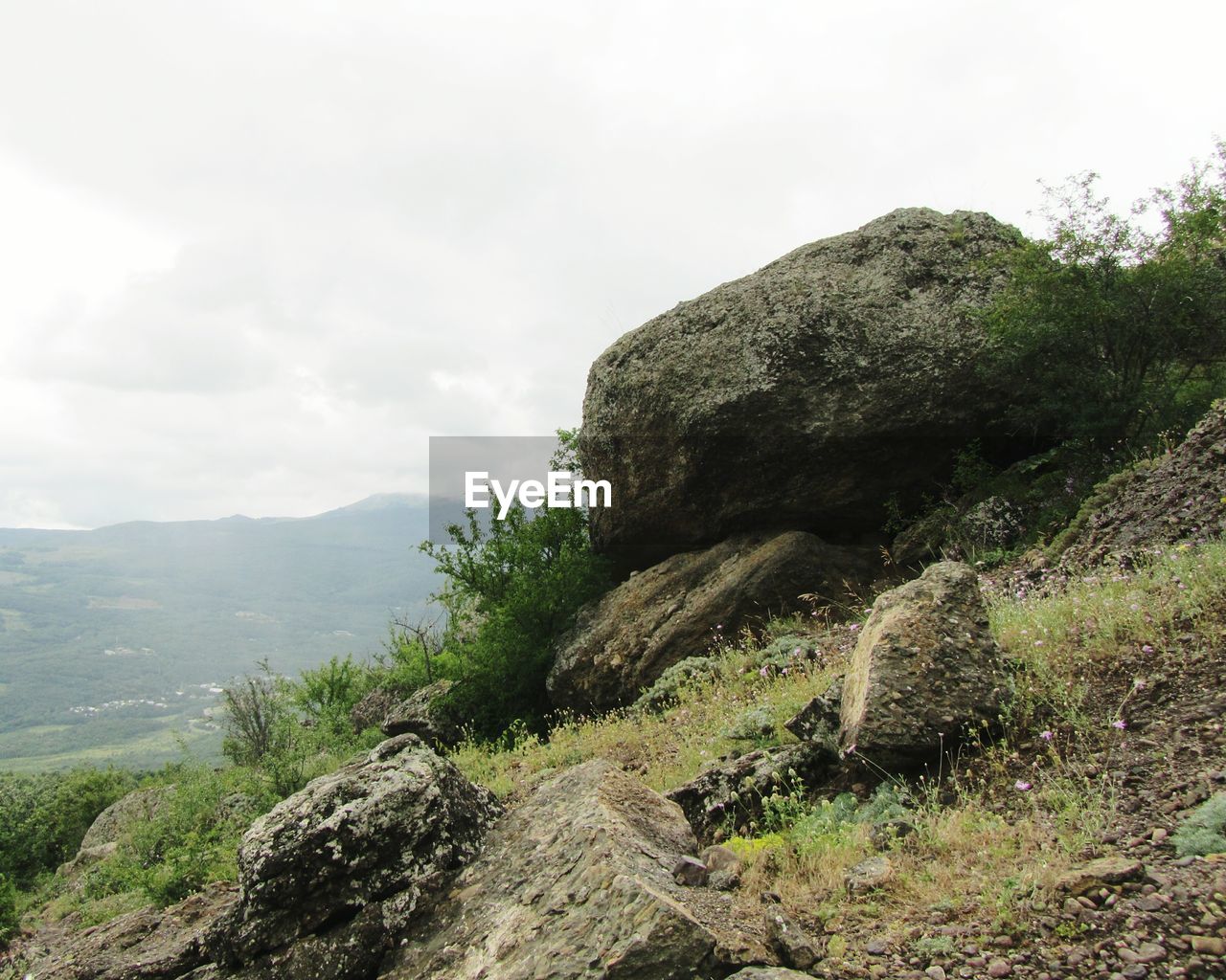 SCENIC VIEW OF TREE MOUNTAIN AGAINST SKY