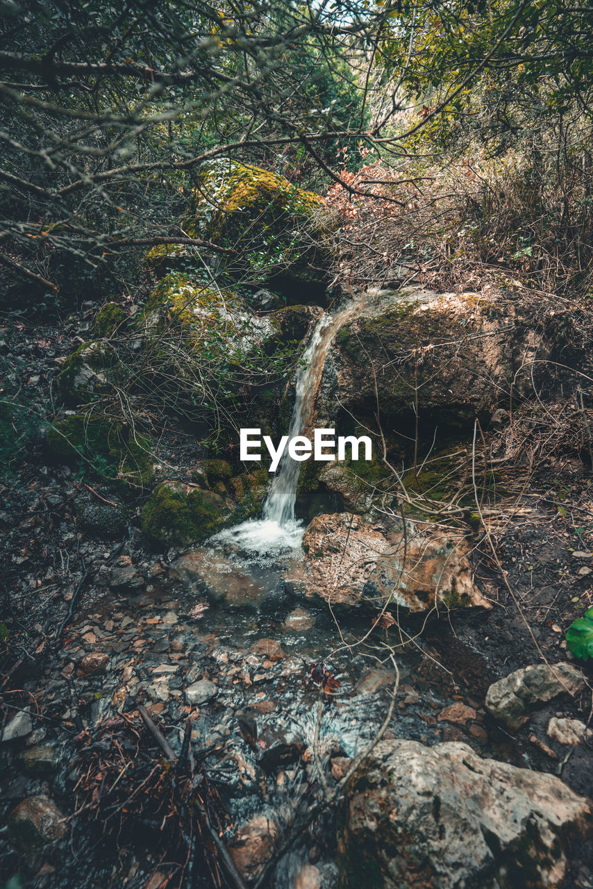 View of waterfall in forest