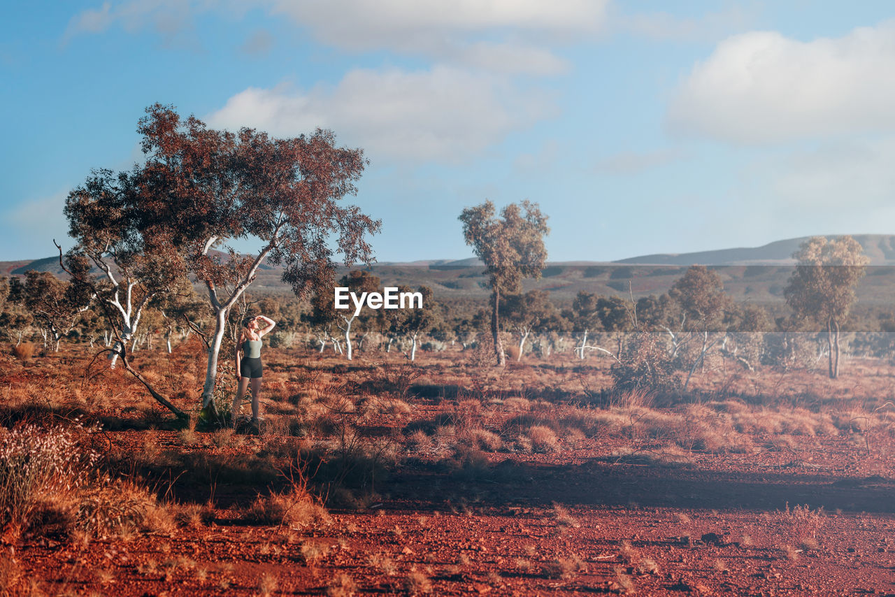 TREES AND PLANTS ON LAND