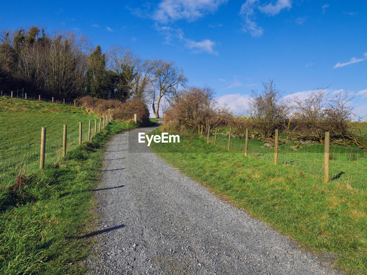 Road amidst trees on field against sky