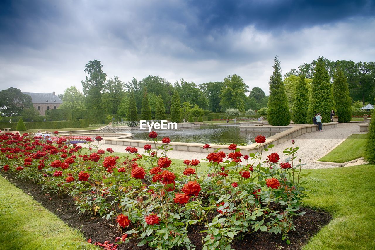 RED FLOWERING PLANTS AND TREES IN PARK