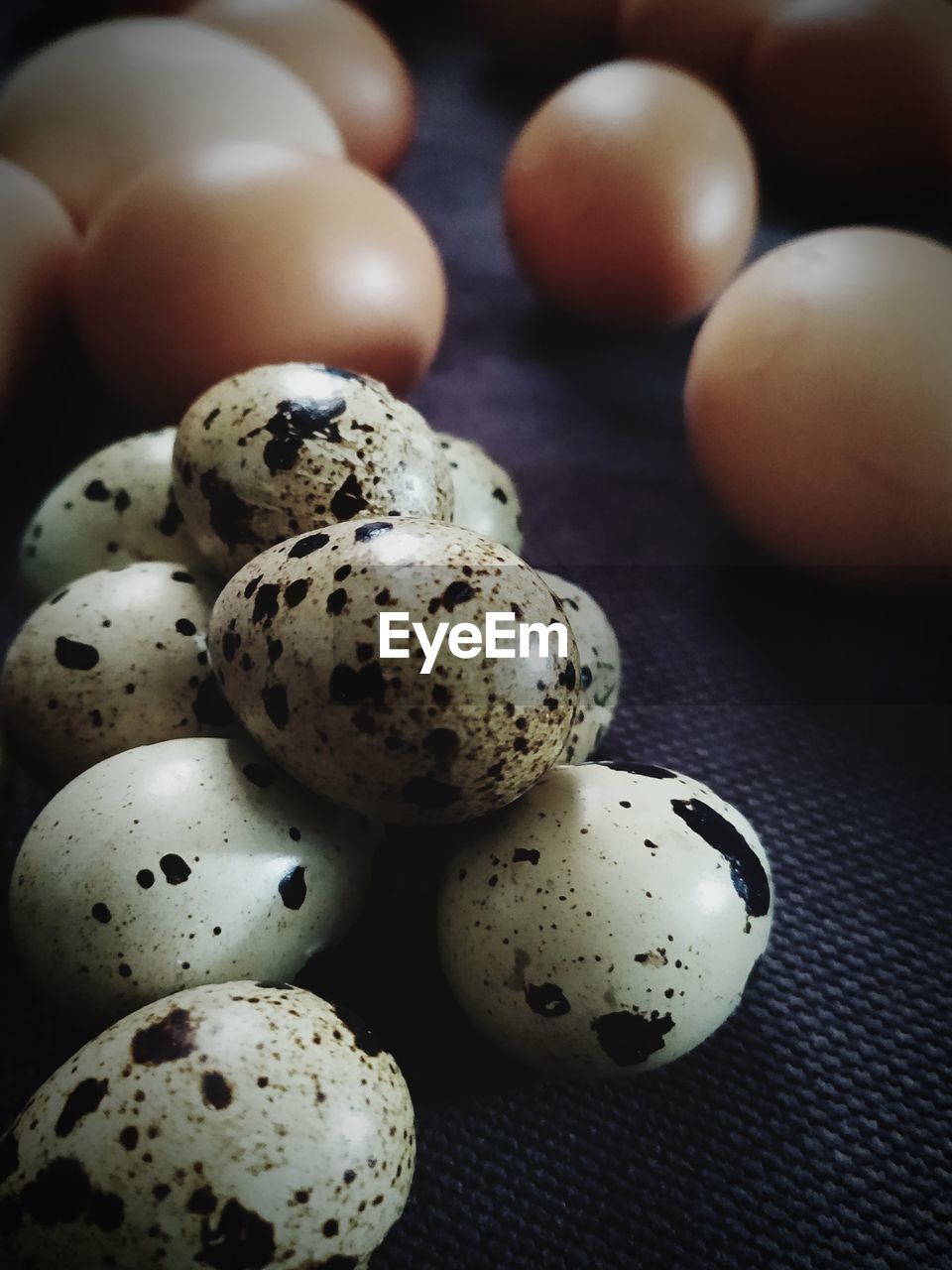 HIGH ANGLE VIEW OF EGGS IN CONTAINER ON TABLE