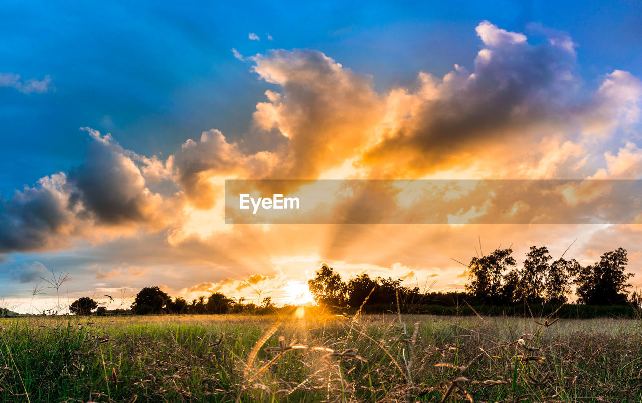 Scenic view of field against sky during sunset