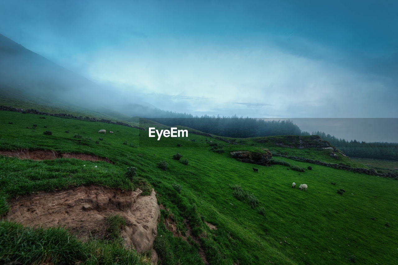 Scenic view of landscape against sky