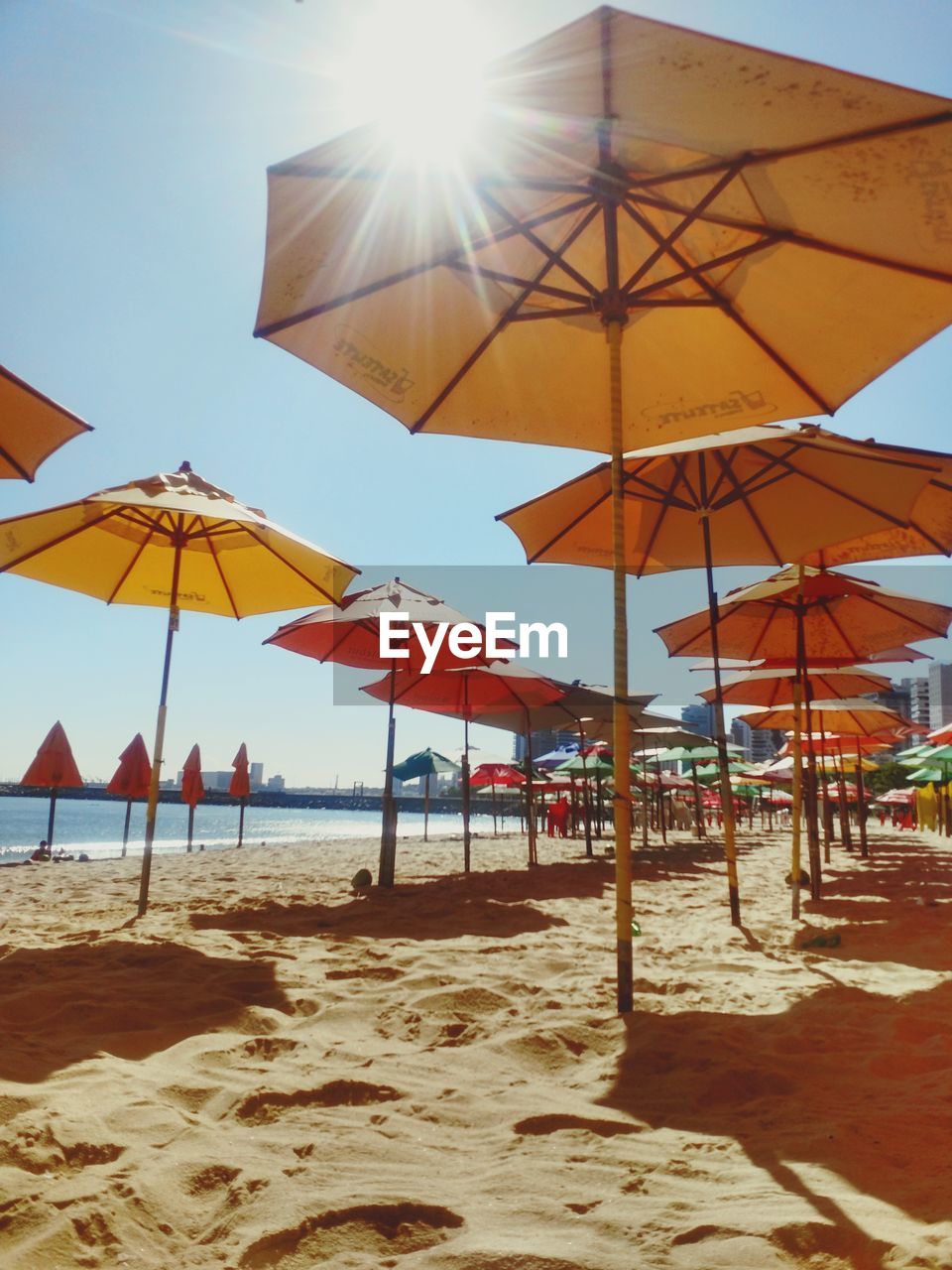 SCENIC VIEW OF BEACH ON SUNNY DAY