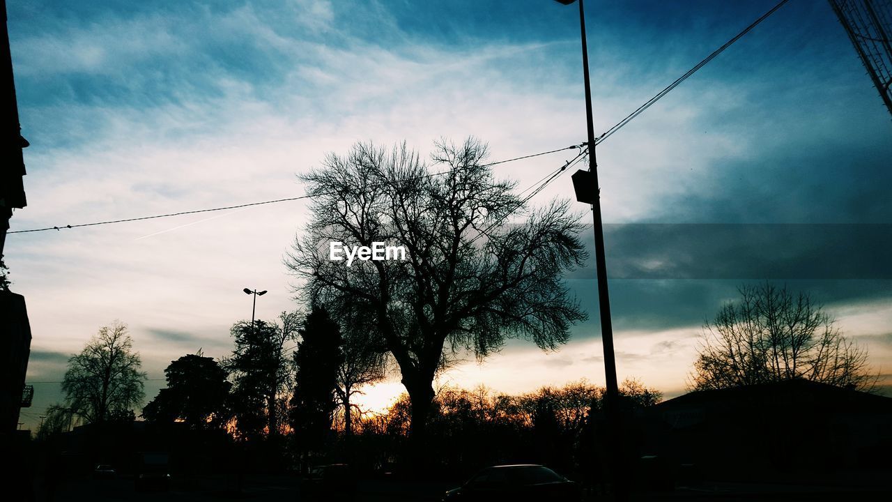 LOW ANGLE VIEW OF SILHOUETTE TREES AGAINST SUNSET SKY