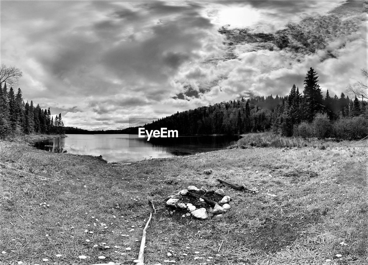 Scenic view of forest against sky