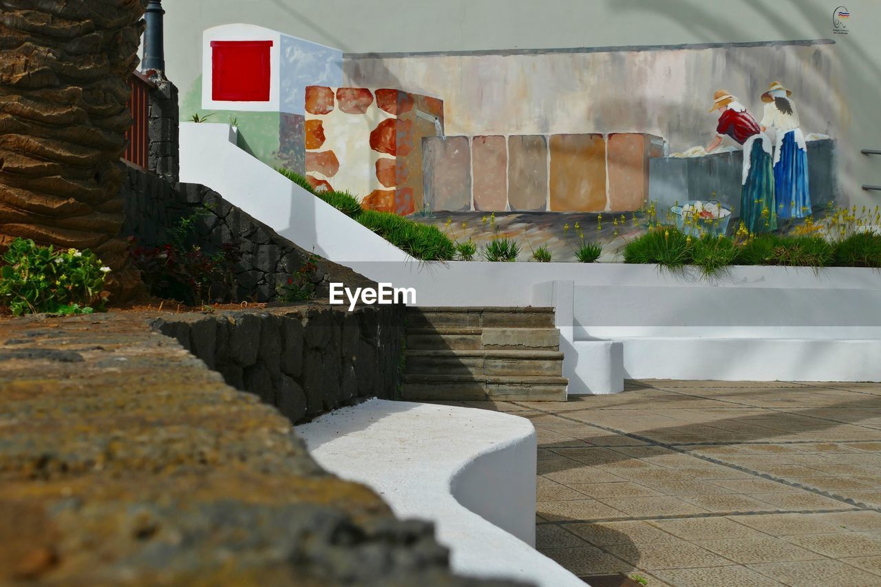 POTTED PLANT ON WALL OF BUILDING