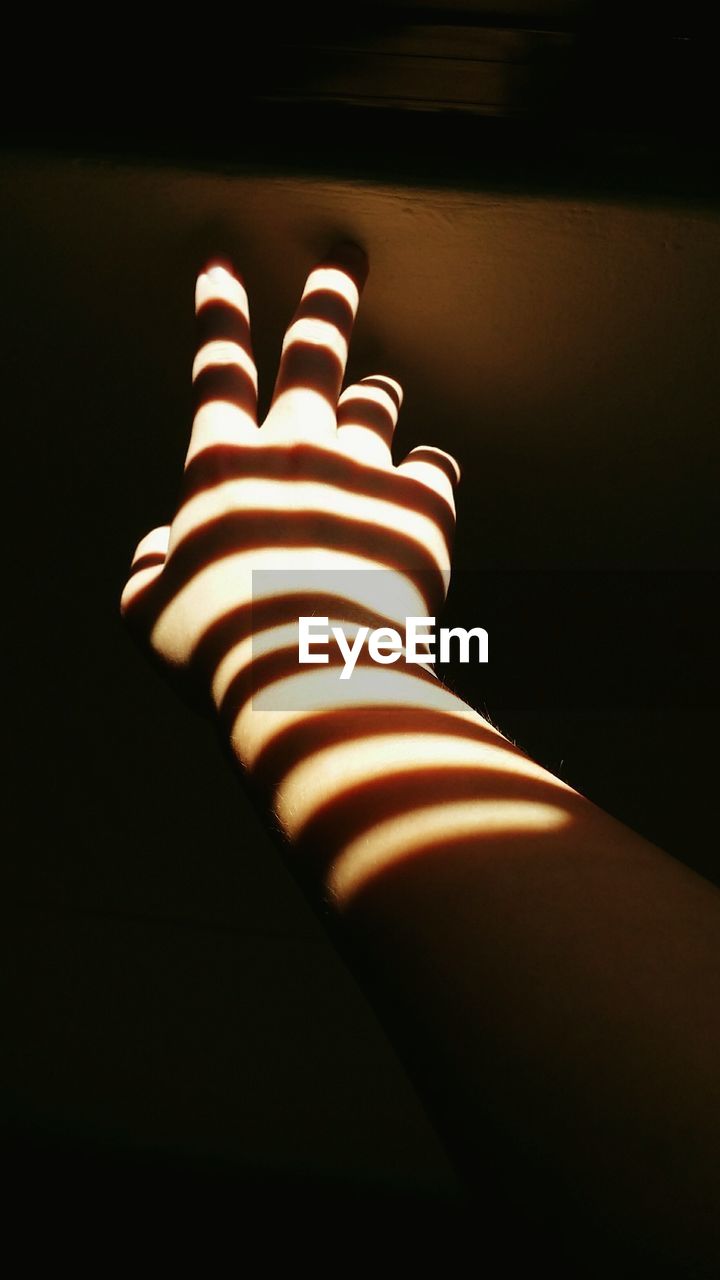 View of hand in sunlight