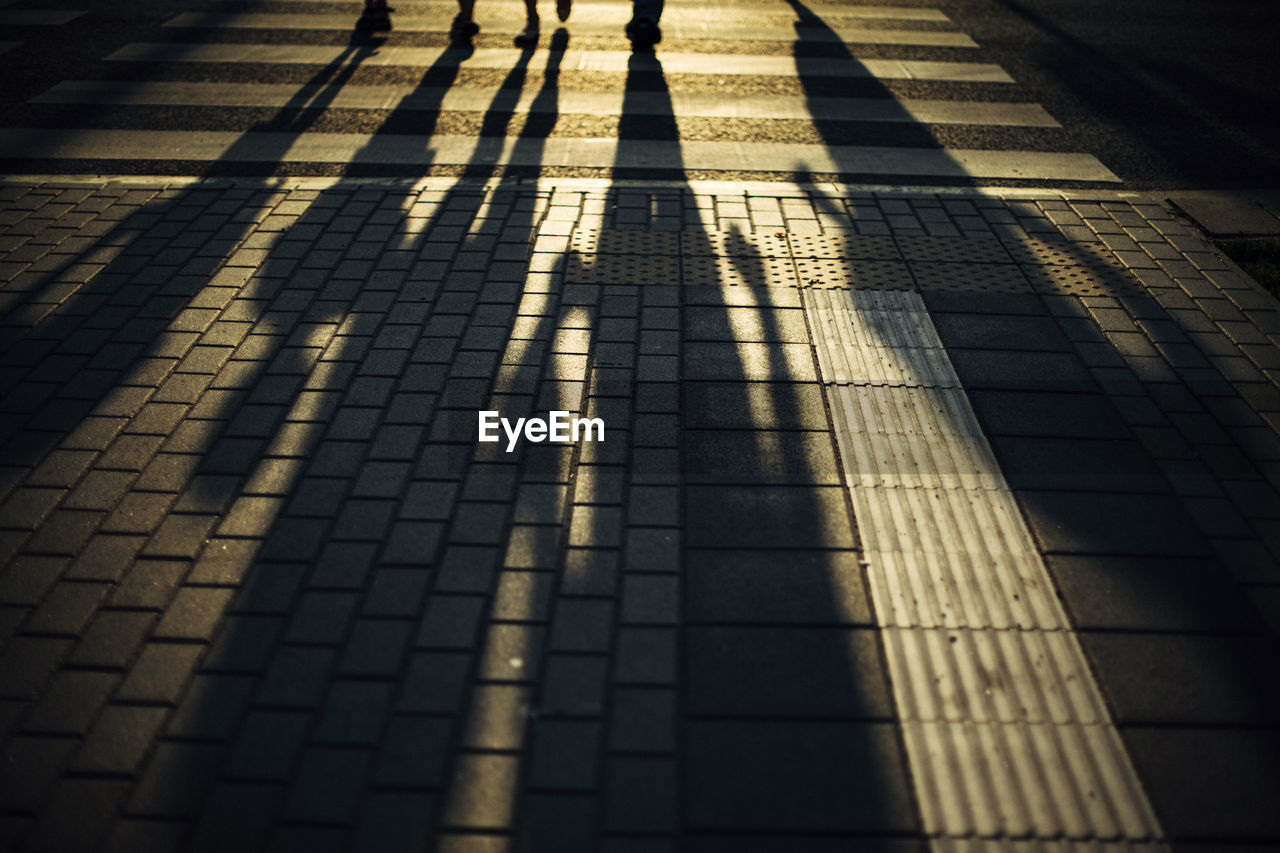 HIGH ANGLE VIEW OF SHADOW ON FOOTPATH