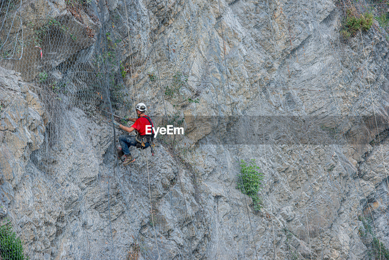 High angle view of spider on rock