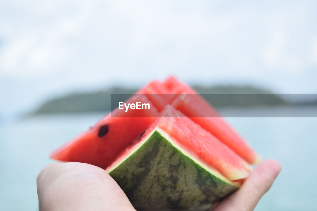 Close-up of hand holding watermelon