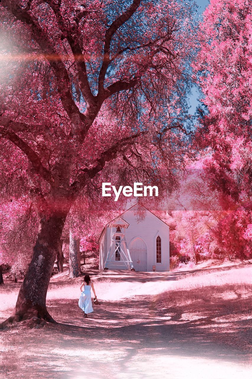 Woman walking among blooming trees