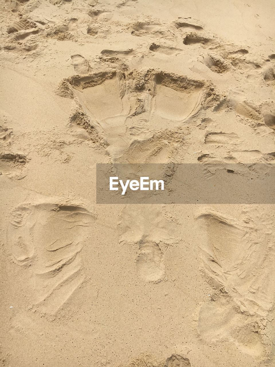 HIGH ANGLE VIEW OF FOOTPRINTS ON WET SAND