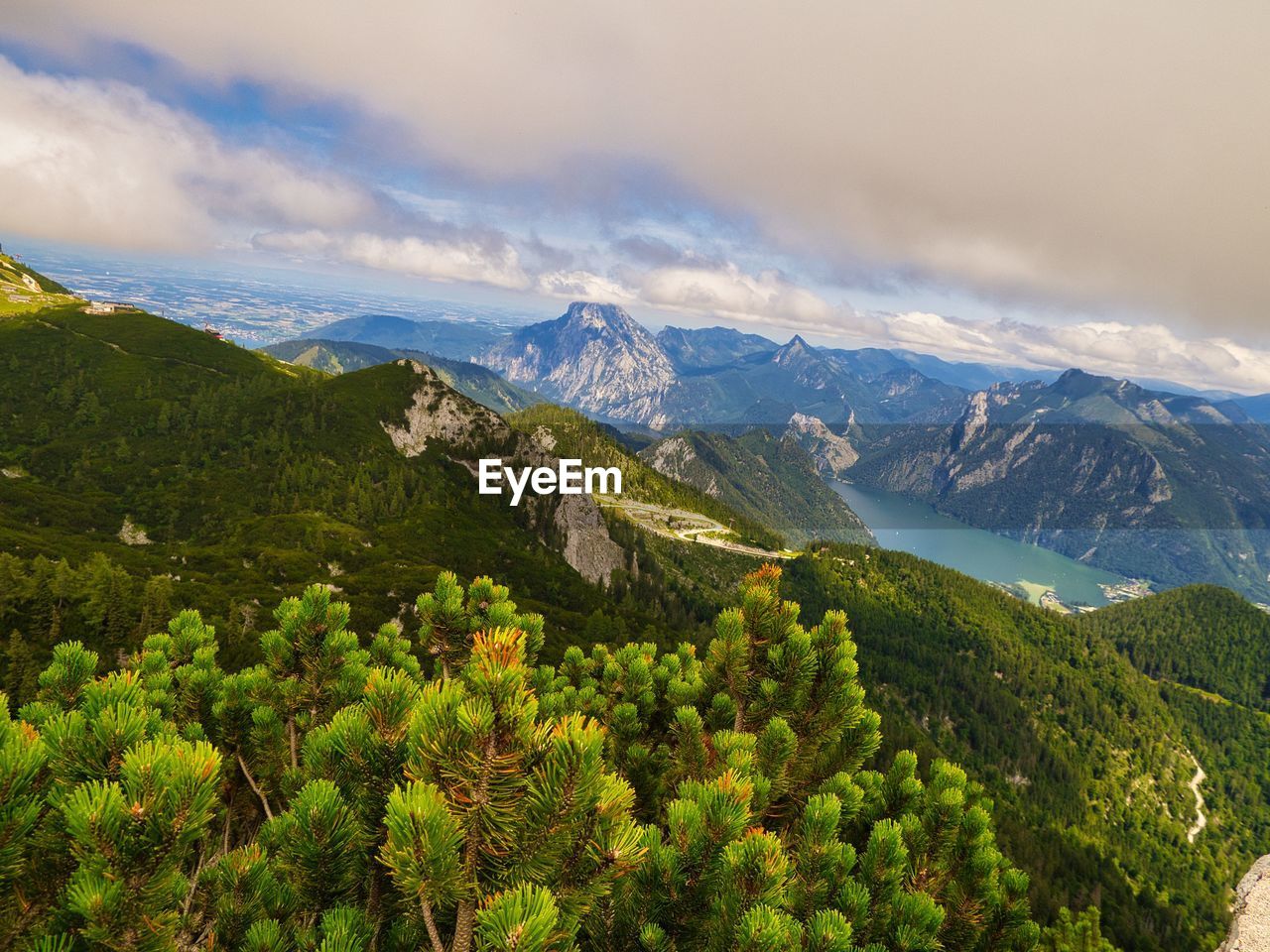 SCENIC VIEW OF TREE MOUNTAINS AGAINST SKY