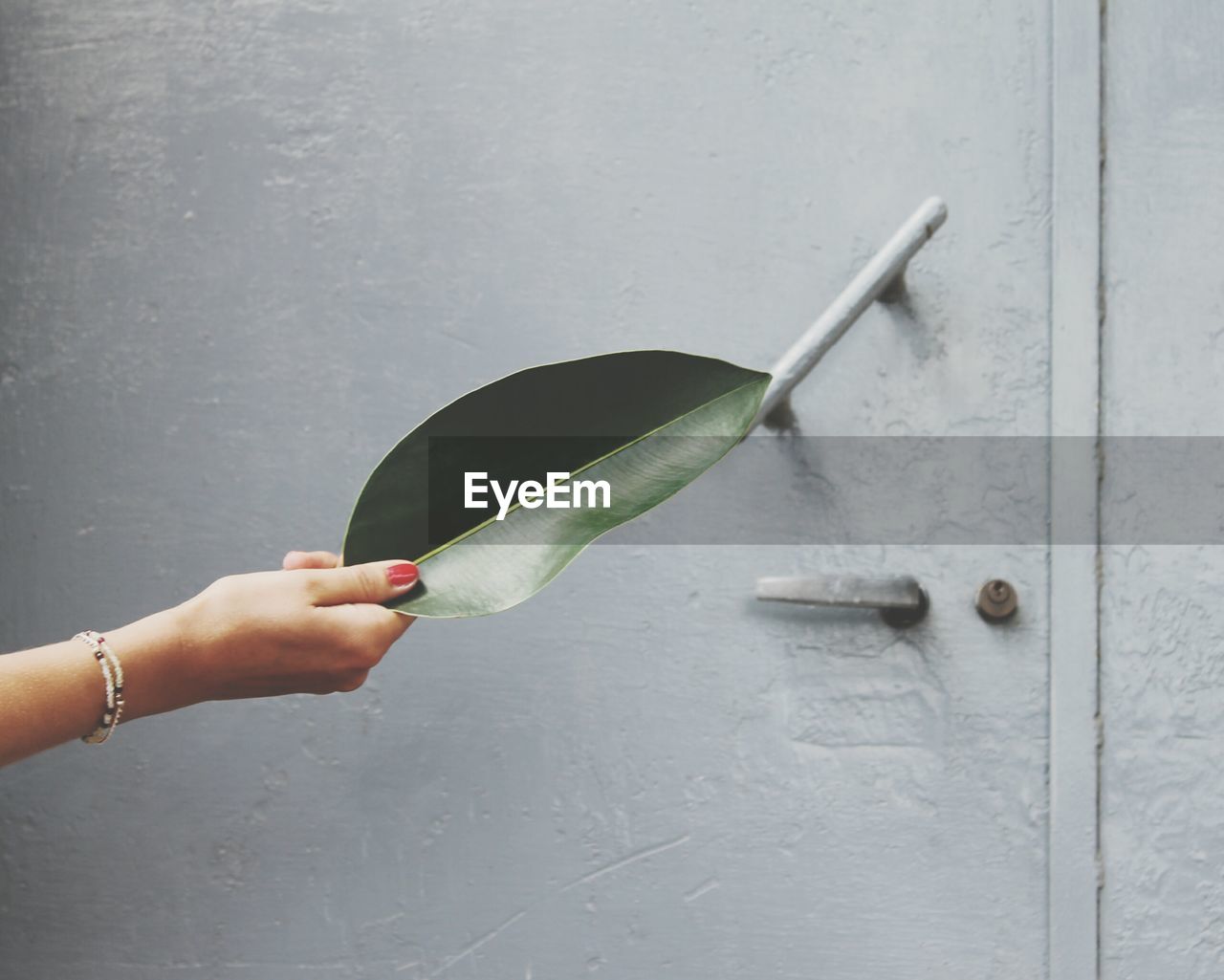 Cropped image of woman hand holding leaf against door
