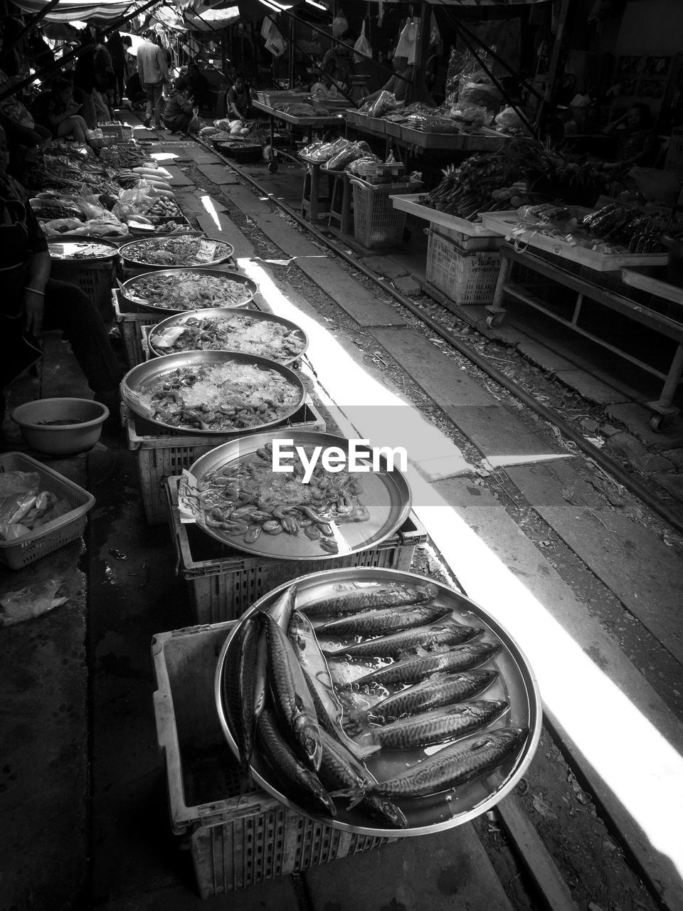 High angle view of various seafood for sale at fish market