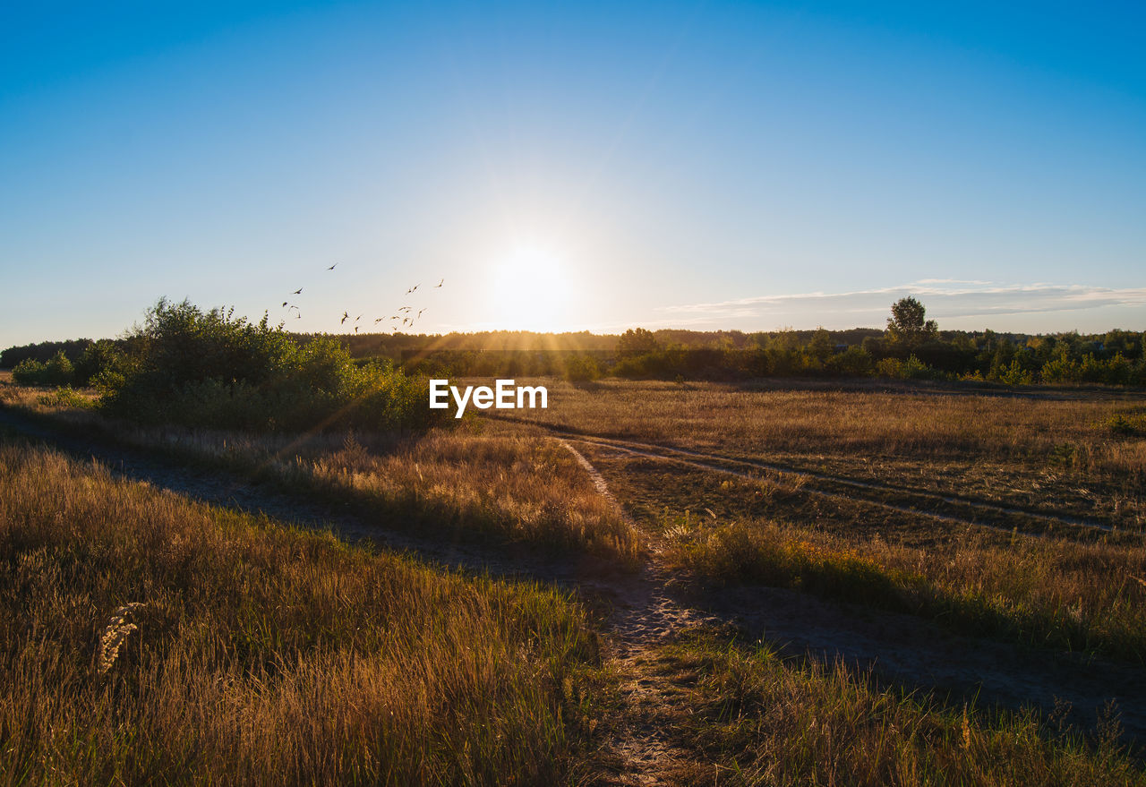 Scenic view of landscape against blue sky