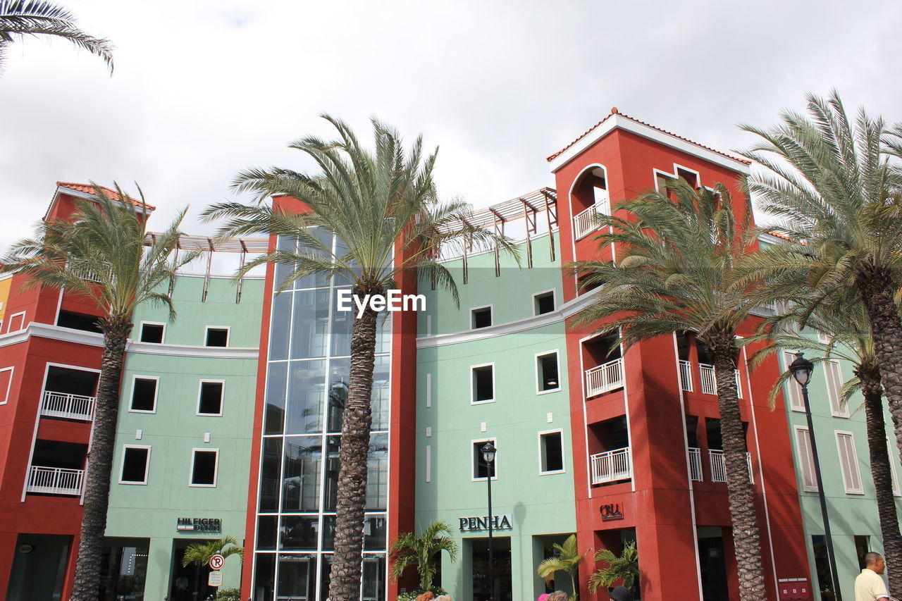 LOW ANGLE VIEW OF PALM TREES AND BUILDING