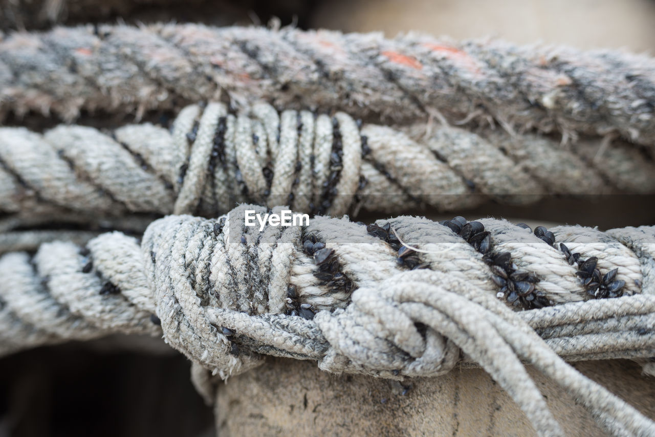 Close-up of rope tied up outdoors