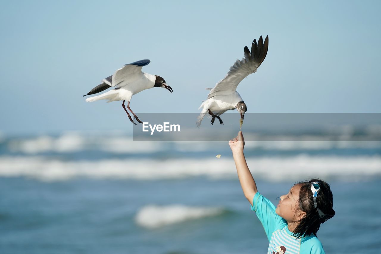 Girl feeding seagulls at beach against sky