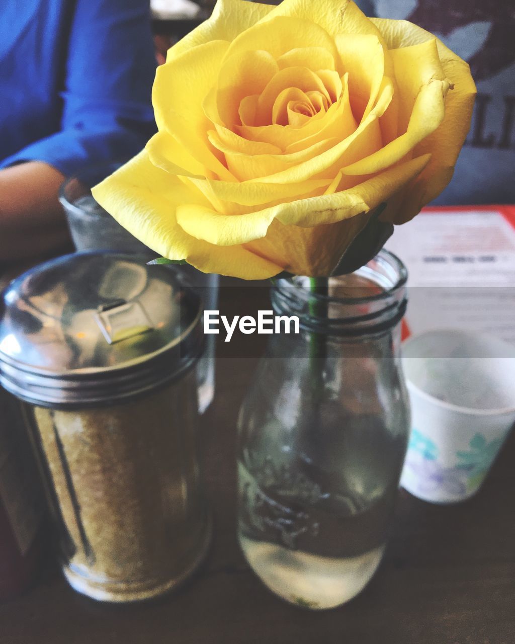 Close-up of rose in vase on table