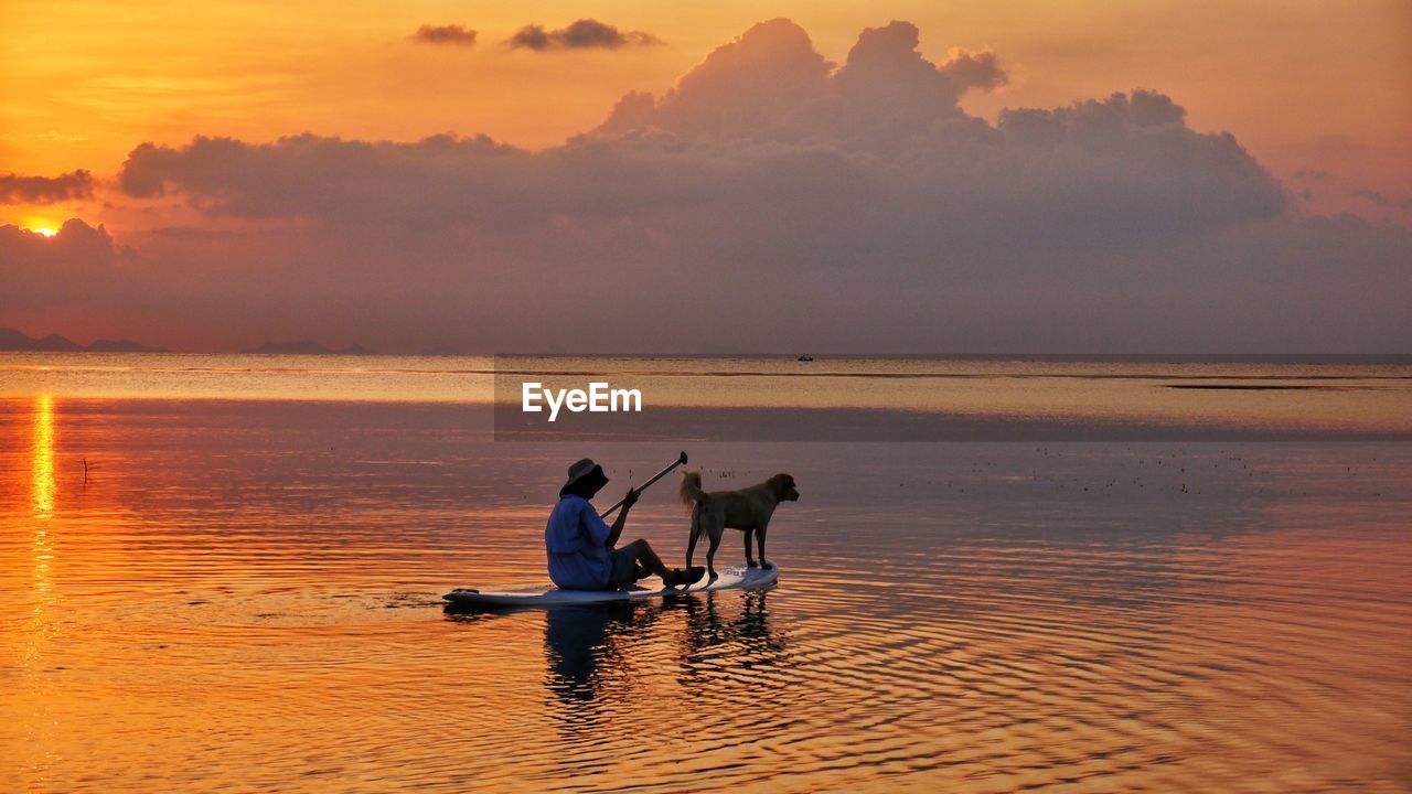 Man and dog on surfboard during sunset