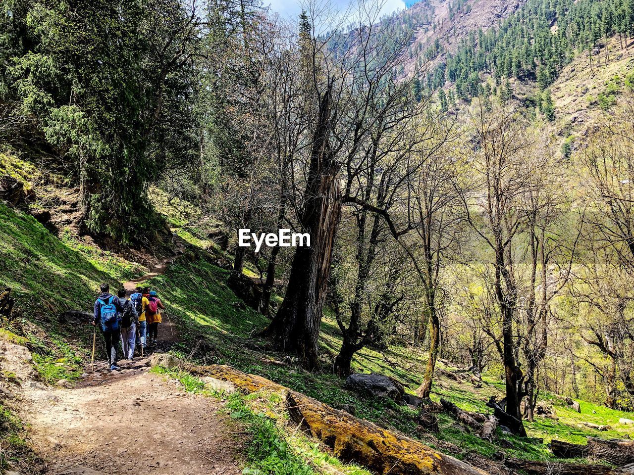 REAR VIEW OF PEOPLE WALKING ON STREET IN FOREST