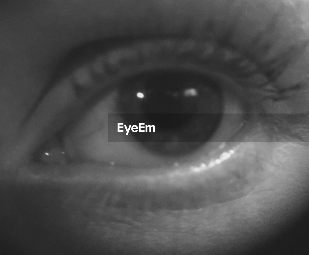 Full frame shot of human eye