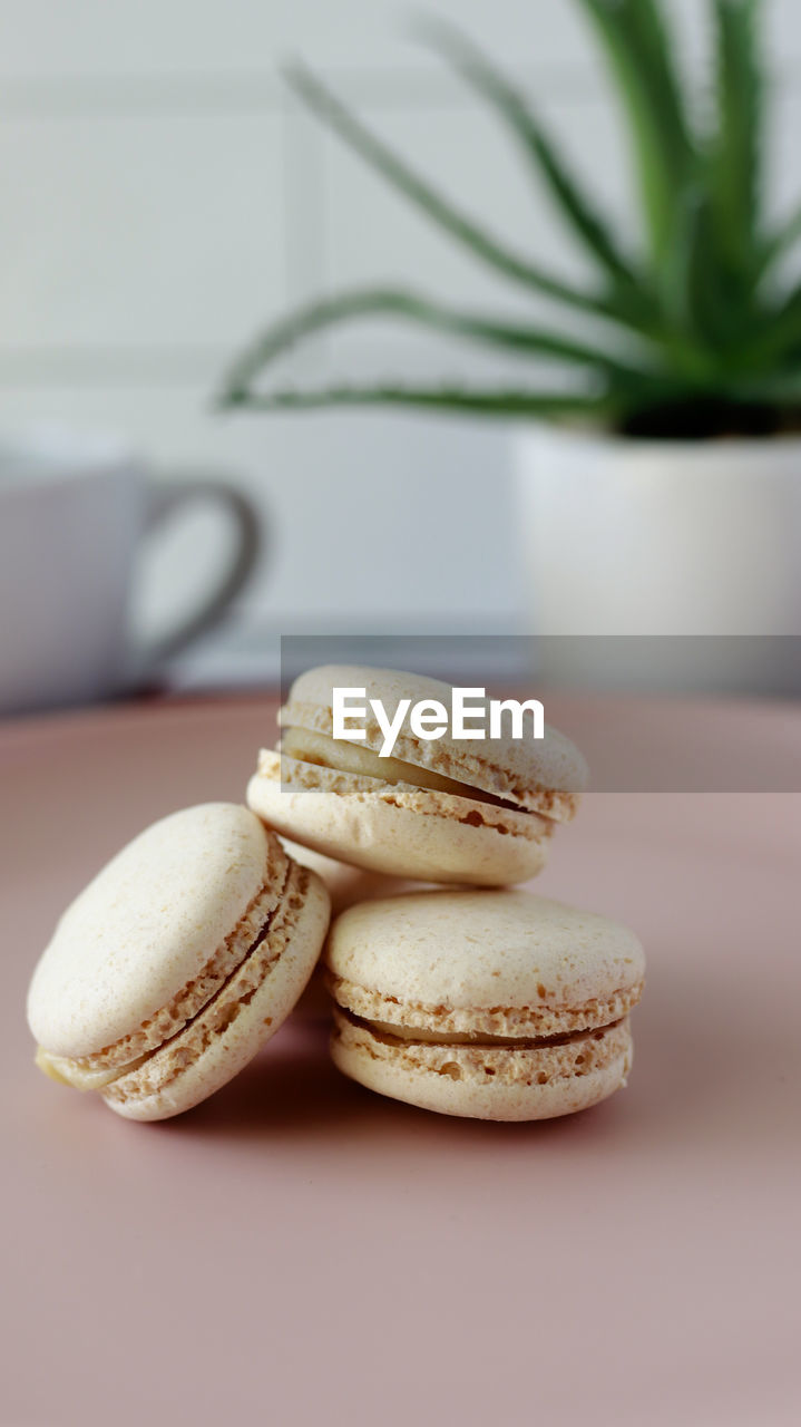 Stack of three fresh french pastel colorful macarons on plate served on table