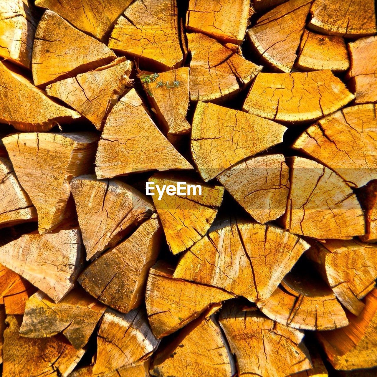 Detail shot of cut logs