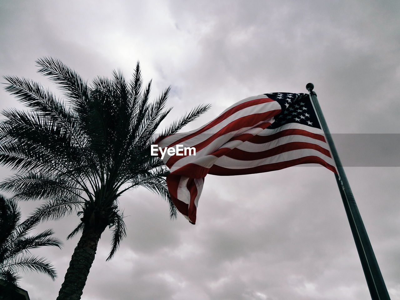 Low angle view of american flag and palm trees against sky