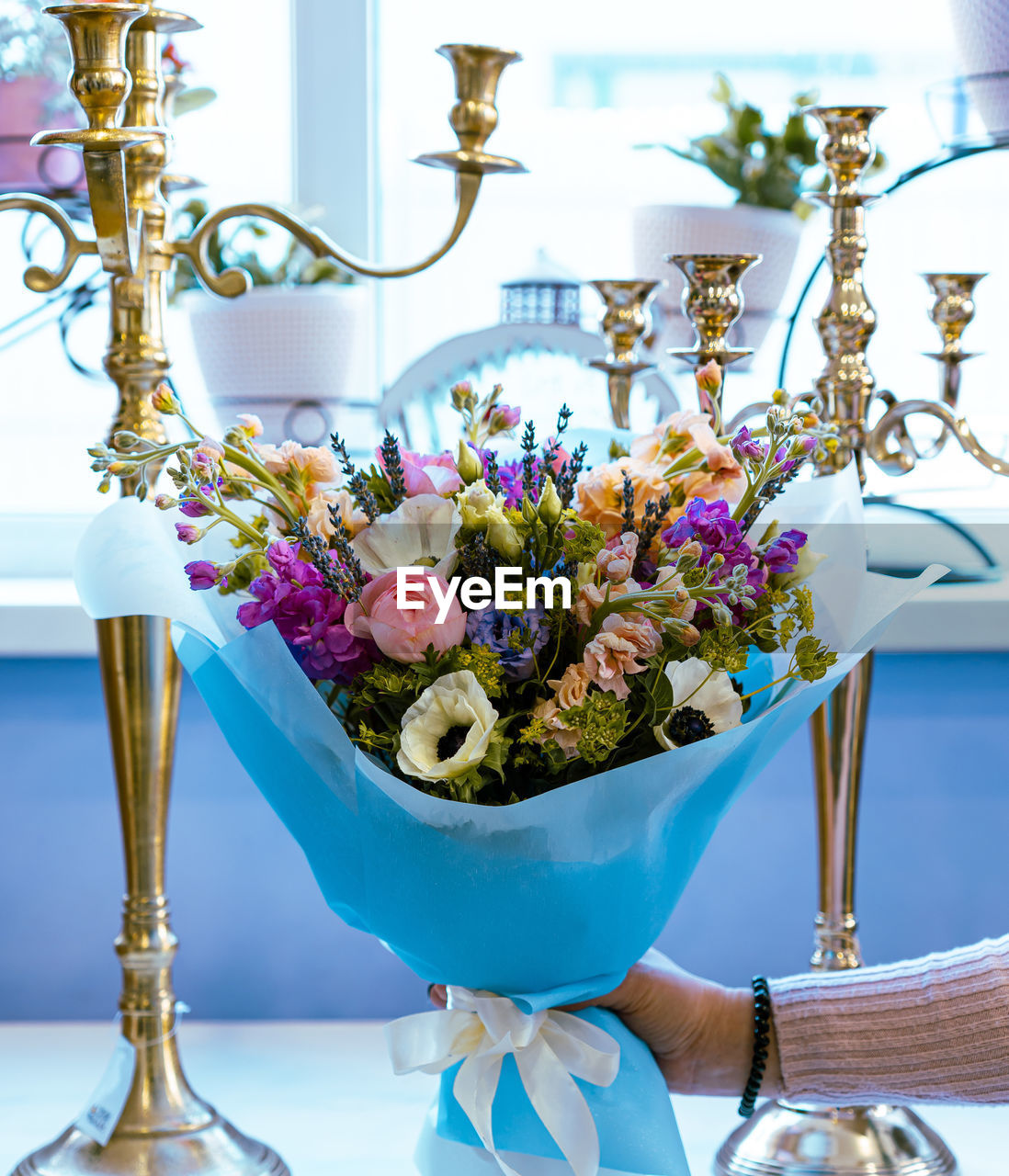 CLOSE-UP OF HAND HOLDING FLOWER VASE AGAINST WALL