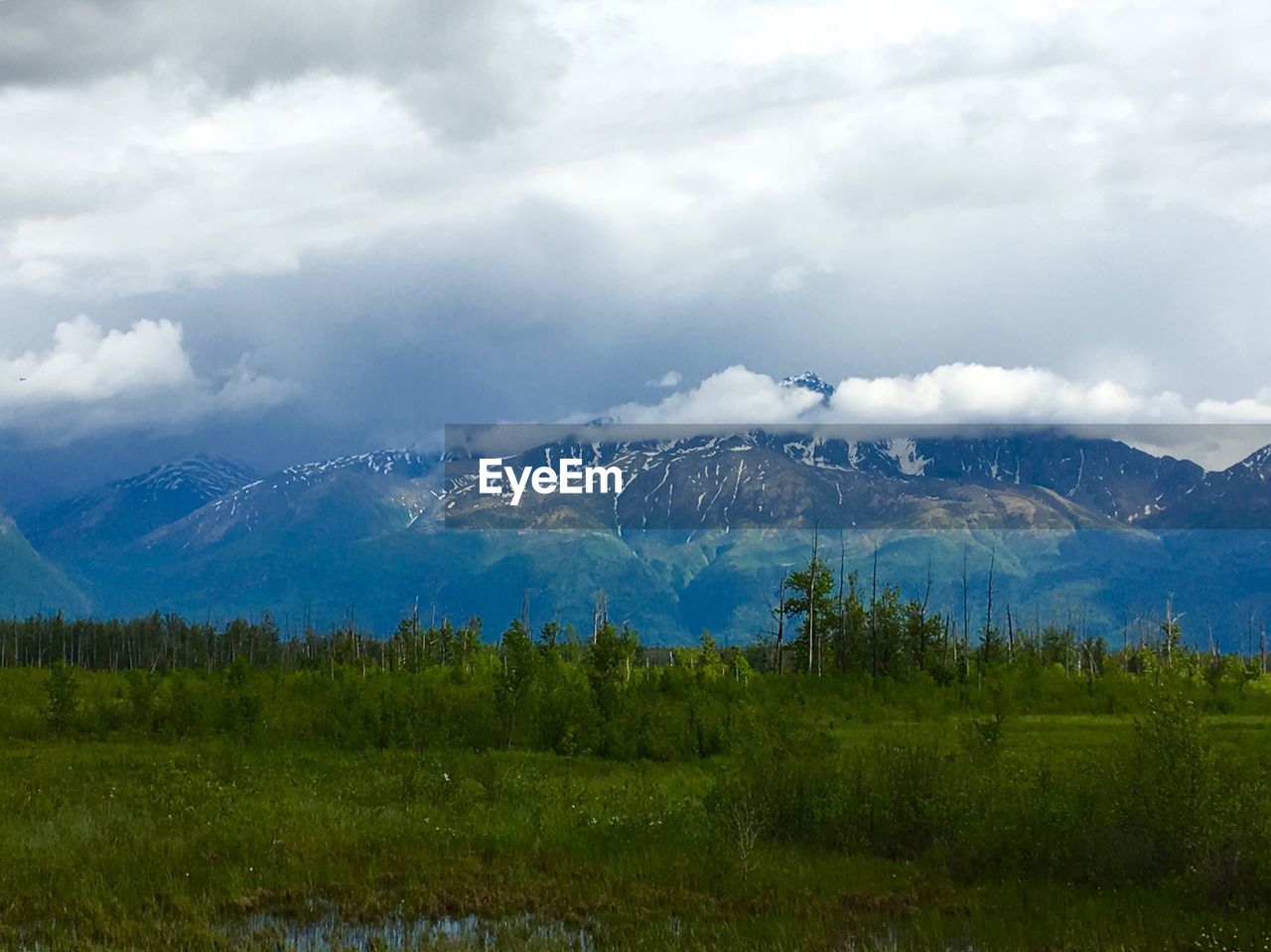 SCENIC VIEW OF GREEN MOUNTAINS AGAINST SKY