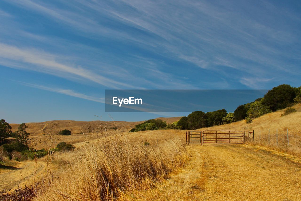 Scenic view of farm against sky