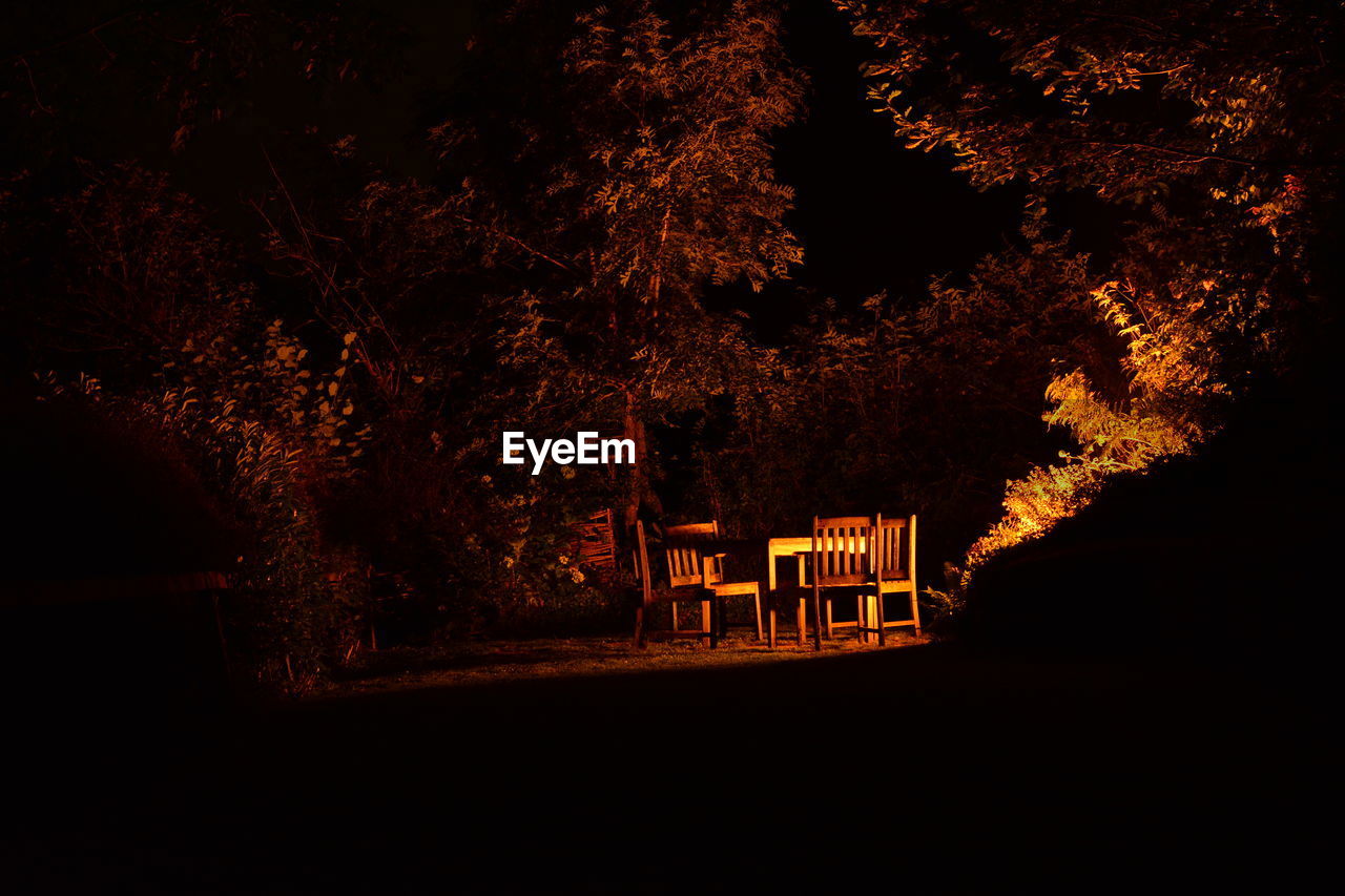 Chairs and table amid trees in the dark