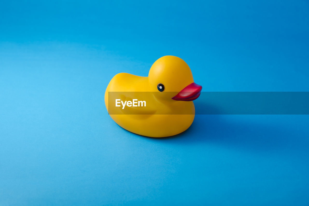 Close-up of yellow rubber duck over blue background