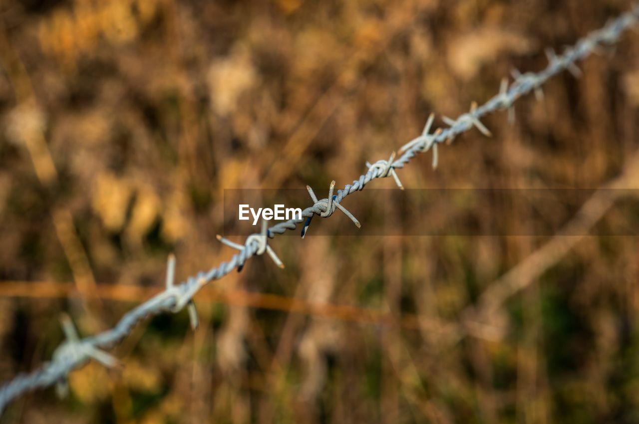 Close-up of barbed wire fence