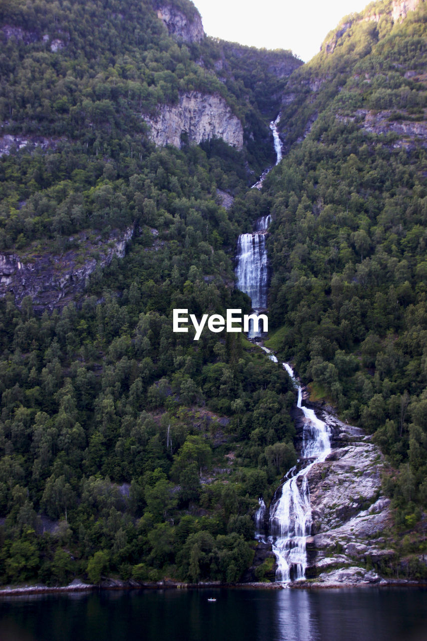 Scenic view of waterfall in forest