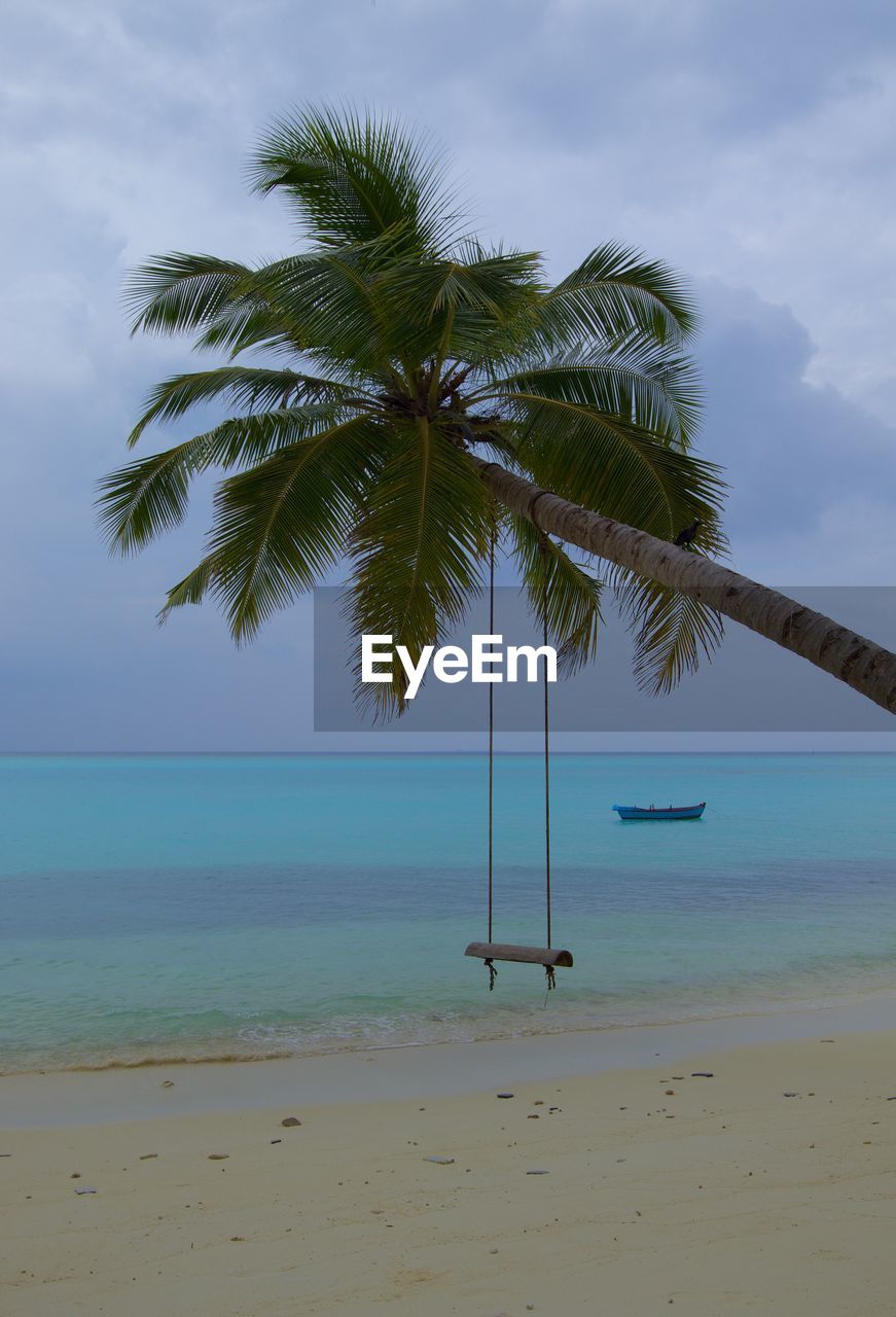 Scenic view of palm trees on beach against sky