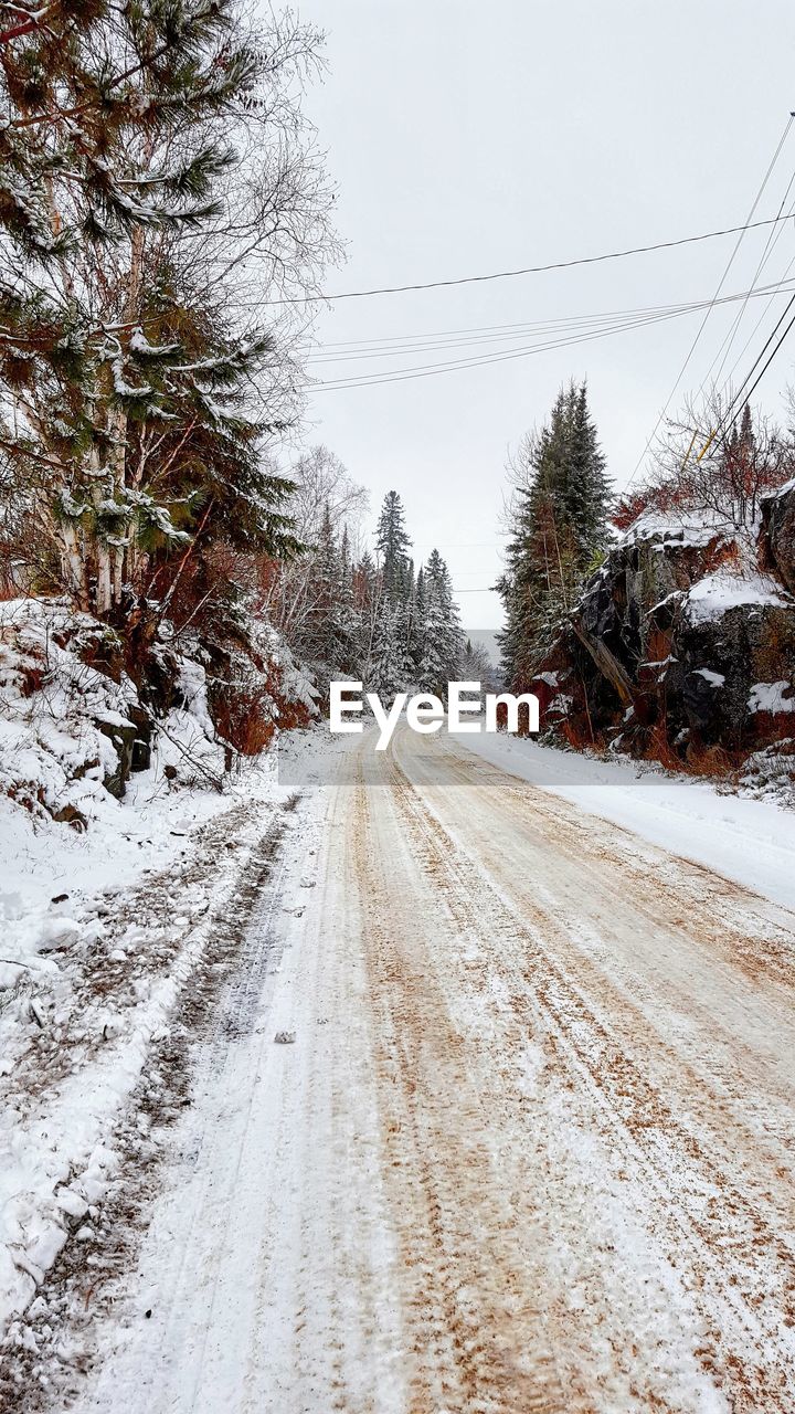 ROAD BY TREES DURING WINTER