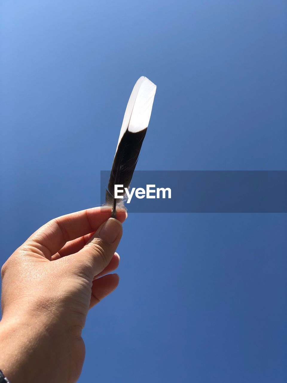 Midsection of person holding feather against clear blue sky